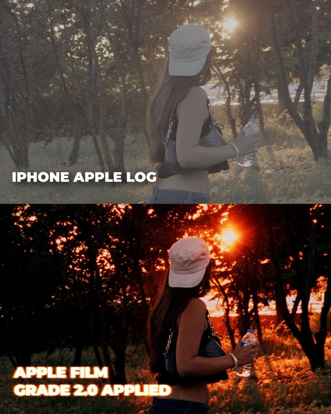 Apple Film Grade 3.0