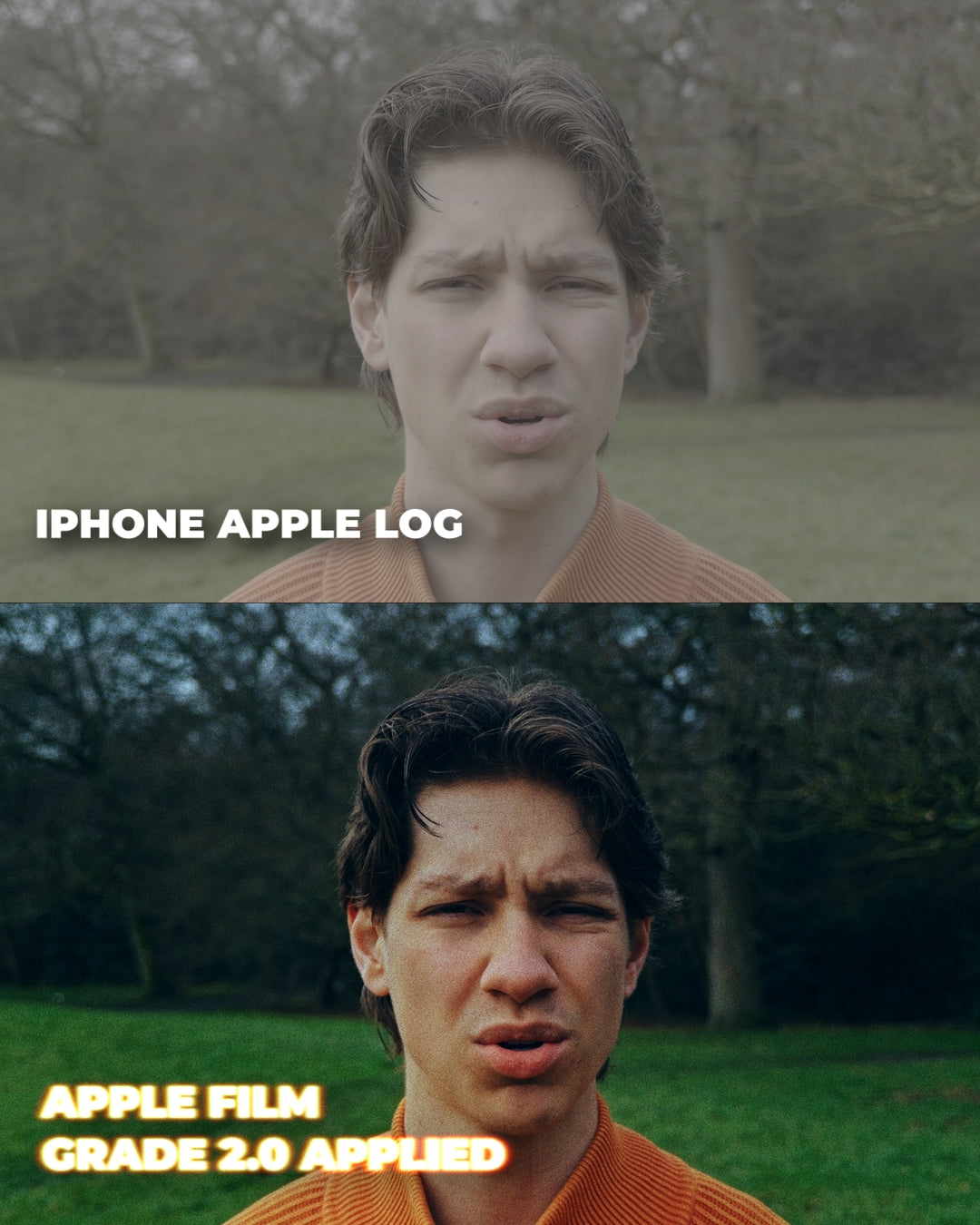 Apple Film Grade 2.0