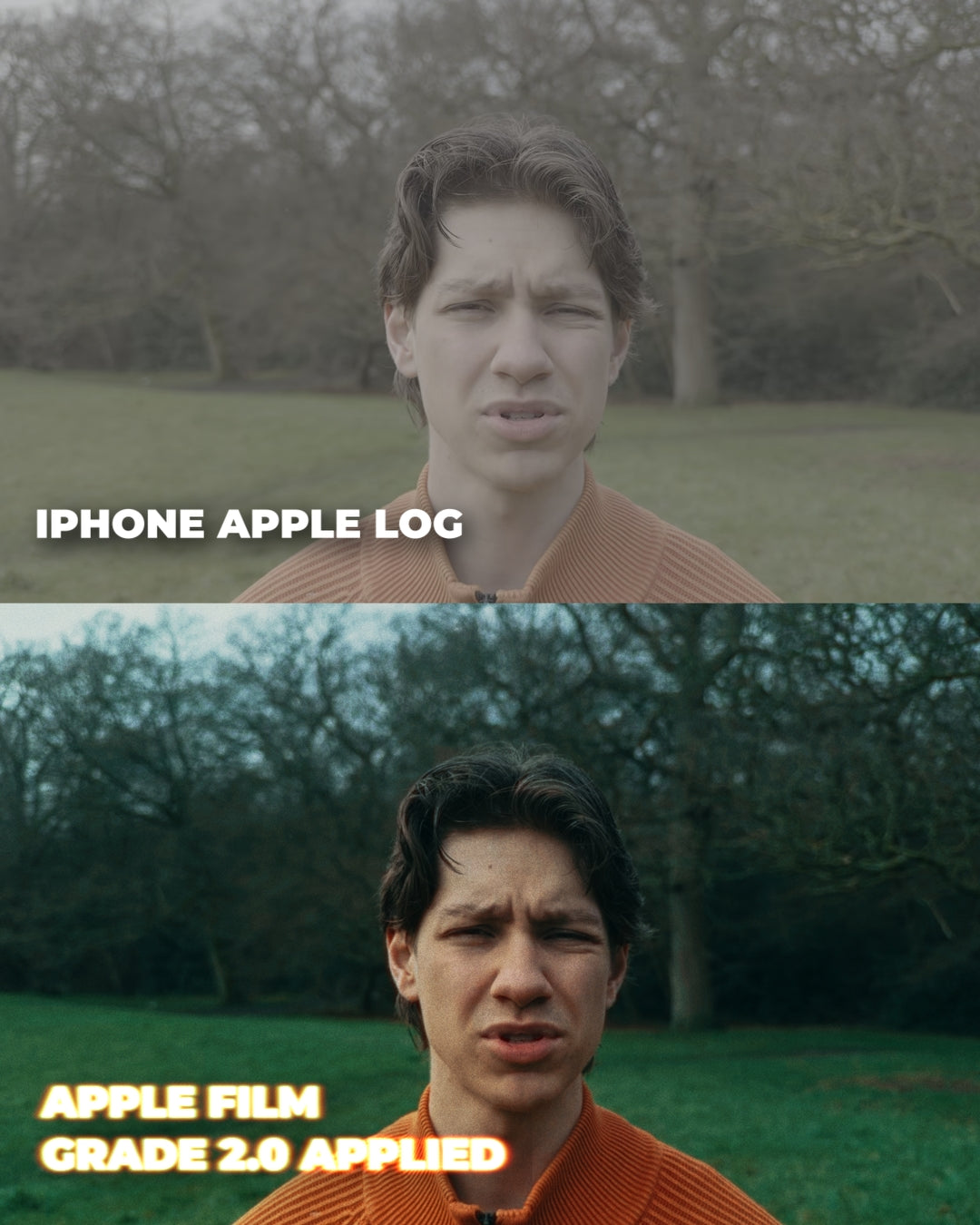 Apple Film Grade 2.0