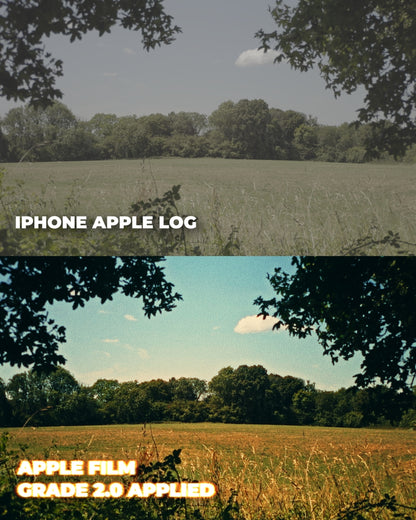 Apple Film Grade 2.0
