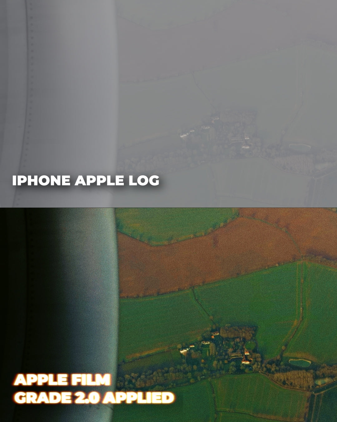 Apple Film Grade 2.0