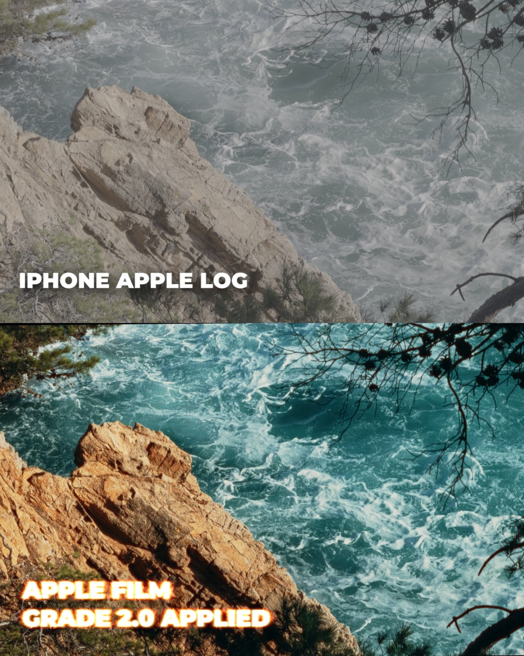 Apple Film Grade 2.0