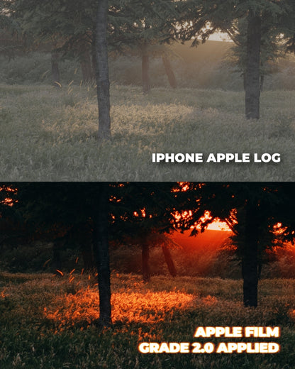 Apple Film Grade 3.0